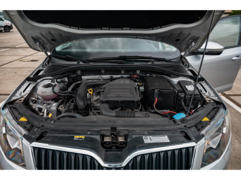 Škoda Octavia 1.0 TSI DSG Greentech Ambition Business | CLIMA | CRUISE | SUNSET