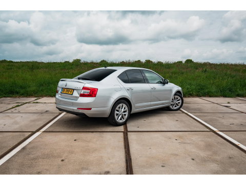 Škoda Octavia 1.0 TSI DSG Greentech Ambition Business | CLIMA | CRUISE | SUNSET