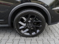 Afbeelding 42