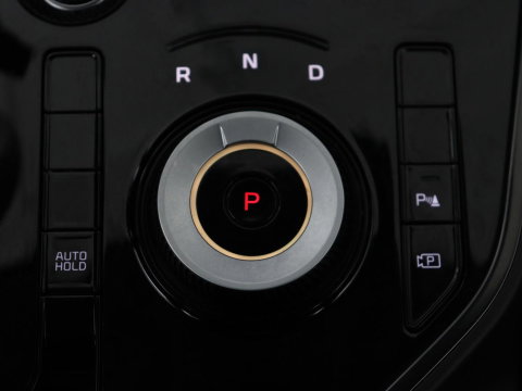 Kia Niro 1.6 GDi Hybrid DynamicLine | Trekhaak | Adaptive cruise | Camera | Carplay | Half leder | Navigatie | Sfeerverlichting | File Assistent | Parkeerhulp | Keyless | Climate control
