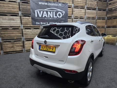Opel Mokka X 1.4 Turbo Innovation LED Navi Clima Camera Trekhaak 17"LM