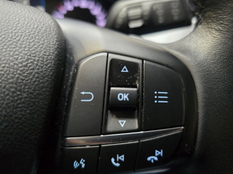 Ford Focus 1.0 EcoBoost Trend Edition Business PDC Navi Clima Cruise LM