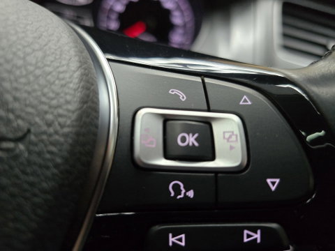 Volkswagen Golf 1.2 TSI Business Edition Connected Pano Led Navi Clima PDC Trekhaak LM