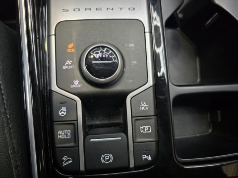Kia Sorento 1.6 T-GDI Plug-in Hybrid 4WD DynamicPlusLine 7p. Pano Leer Trekhaak 19"LM