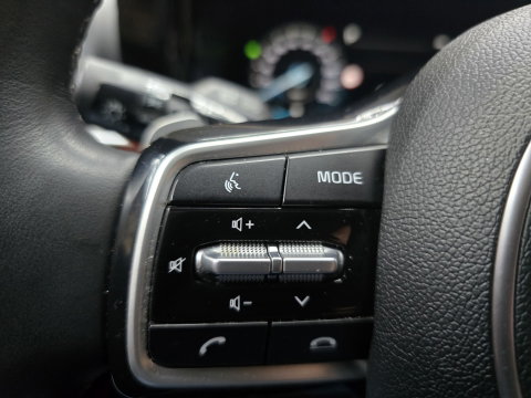 Kia Sorento 1.6 T-GDI Plug-in Hybrid 4WD DynamicPlusLine 7p. Pano Leer Trekhaak 19"LM