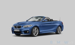 BMW 2 Serie - Cabrio 220i High Executive | M pakket | Groot navi