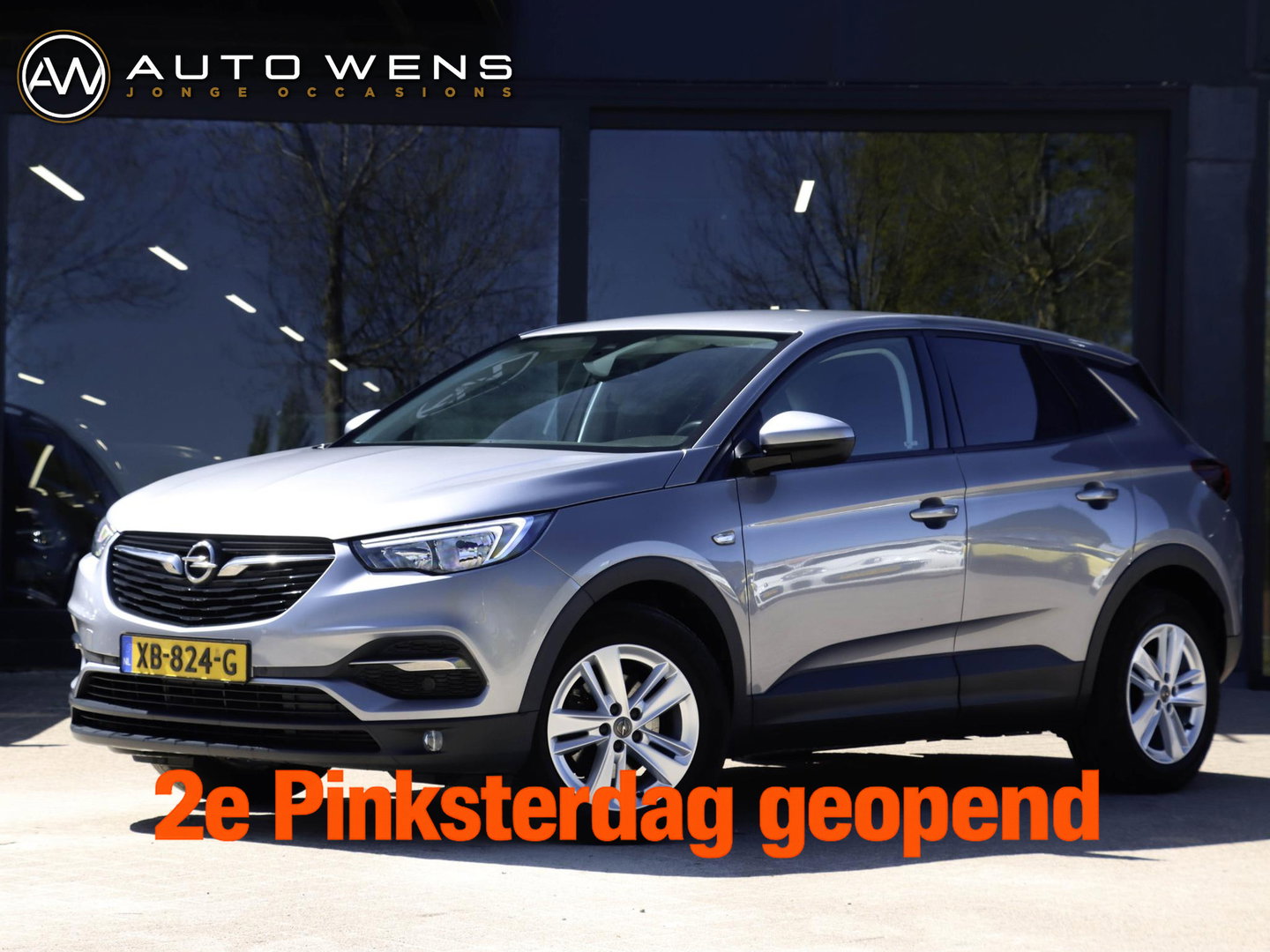 Opel Grandland X 1.2 Turbo Online Edition | Trekhaak