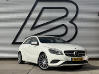 Afbeelding 8