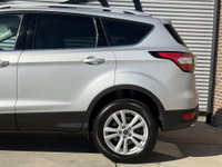 Afbeelding 20