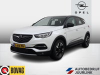 Opel Grandland X - 1.2 Turbo Automaat Business Edition Nav/Camera/Agr /Winterpakket
