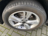 Afbeelding 11
