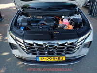 Afbeelding 41