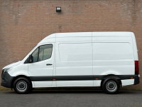 Afbeelding 12
