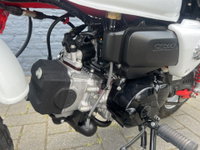 Afbeelding 24