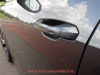 Afbeelding 37