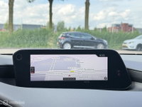 Afbeelding 11