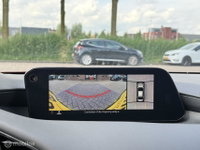 Afbeelding 12