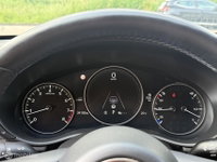 Afbeelding 4