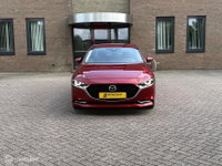 Afbeelding 7