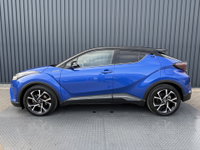 Afbeelding 16