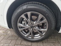 Afbeelding 20