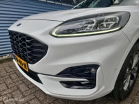 Afbeelding 32