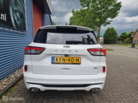 Afbeelding 50