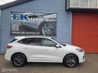 Afbeelding 6