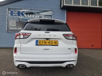 Afbeelding 8