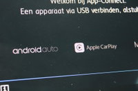 Afbeelding 10