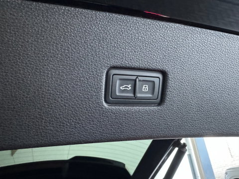 Audi RSQ8 4.0 TFSI quattro Pano|Ceramic|HuD|B&O|Trekh|Massage