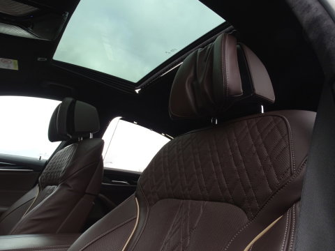 BMW 5 Serie 530e 292PK M-Sport / M- Individual / alcantara / 360° / Laser