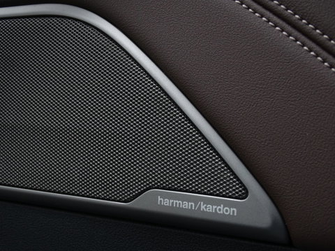 BMW 5 Serie 530e 292PK M-Sport / M- Individual / alcantara / 360° / Laser
