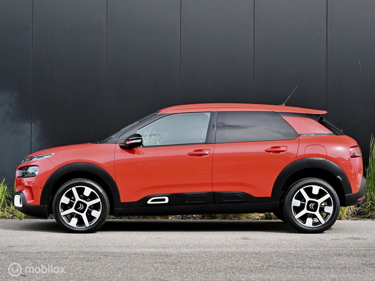 Citroën C4 Cactus