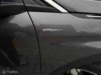 Afbeelding 8