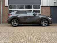 Afbeelding 10