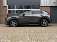 Afbeelding 11