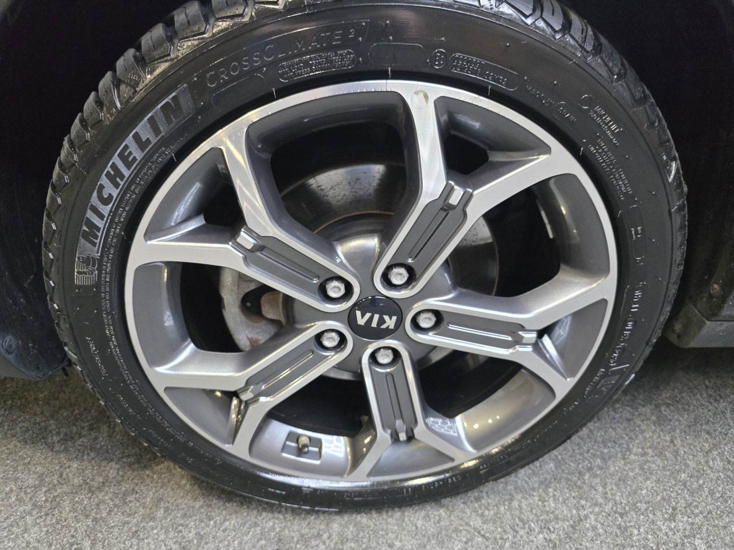 Kia Xceed 1.6 GDi PHEV ExecutiveLine Leder Pano Clima Navi 18"LM
