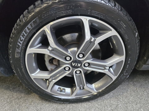 Kia Xceed 1.6 GDi PHEV ExecutiveLine Leder Pano Clima Navi 18"LM