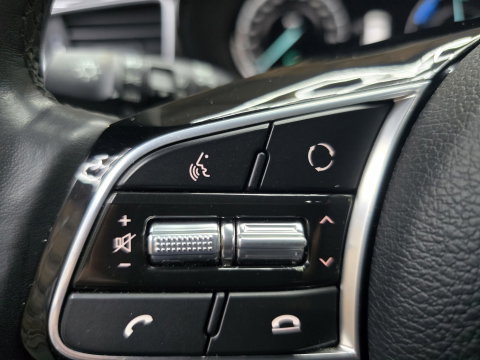 Kia Xceed 1.6 GDi PHEV ExecutiveLine Leder Pano Clima Navi 18"LM