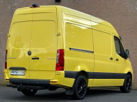 Afbeelding 5