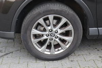 Afbeelding 40
