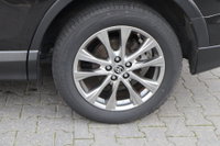 Afbeelding 41