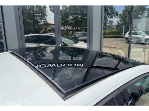 Volkswagen Polo 2.0 TSI GTI PANO KEYLESS BEATS