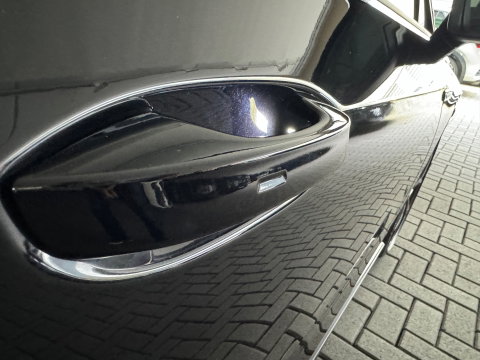 Volkswagen Golf 2.0 TSI R 4M 20Jahre Performance Pano|Akrapovic