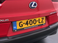 Afbeelding 12