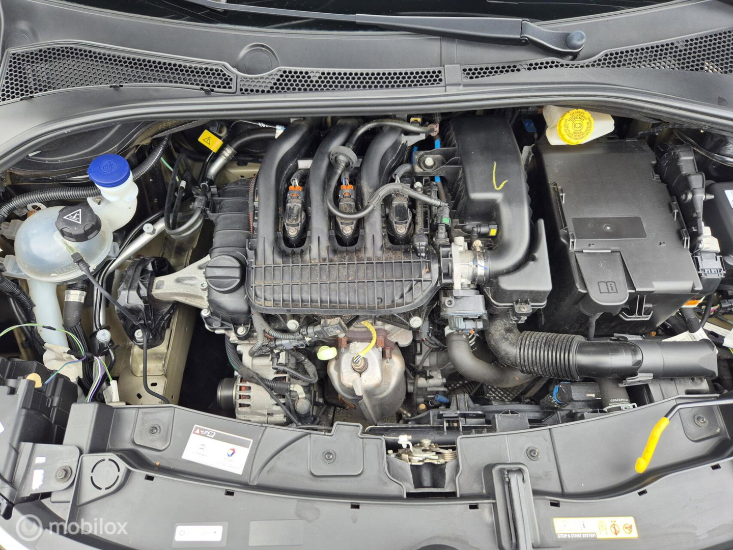 Citroën C3 1.2 PureTech You, Stoelverwarming, Airco, Cruise