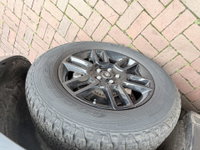 Afbeelding 16
