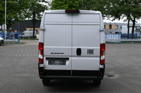 Afbeelding 10