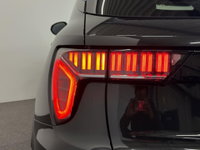 Afbeelding 41